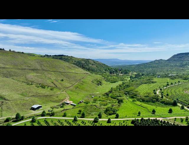 FARM FOR SALE IN MOUNT VERDE